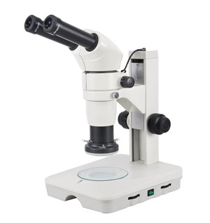 TDC-6000体视显微镜